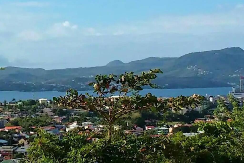 Grand Studio Climatise Avec Haut Debit Et Tv Tnt Fort-de-France Buitenkant foto